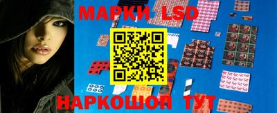 гидропоника Будённовск