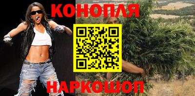 гидропоника Будённовск
