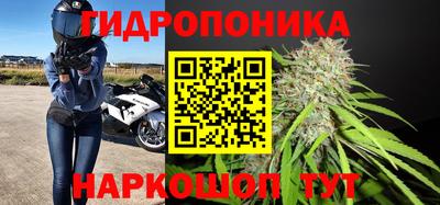 гидропоника Будённовск