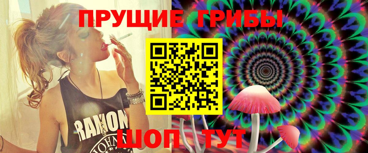 купить закладку  Галлюциногенные грибы мухоморы  Вход с VPN  Петрозаводск  Галлюциногенные грибы мухоморы 